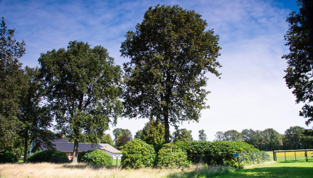 Bed And Breakfast Lindershoeve Bergeijk Zewnętrze zdjęcie